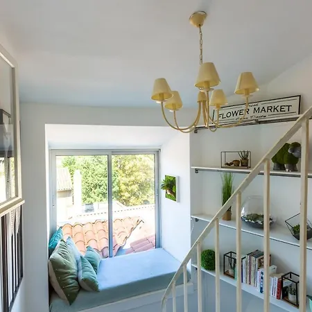 Loft 9 Rue Fermat * Tuluza