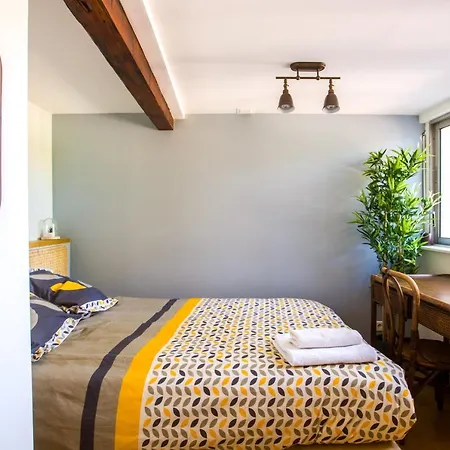 Apartament Loft 9 Rue Fermat Tuluza