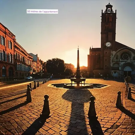 Loft 9 Rue Fermat * Tuluza