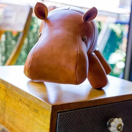 Loft 9 Rue Fermat Toulouse